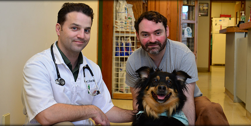 Meet Dr. Kleven at Greentree Animal Hospital
