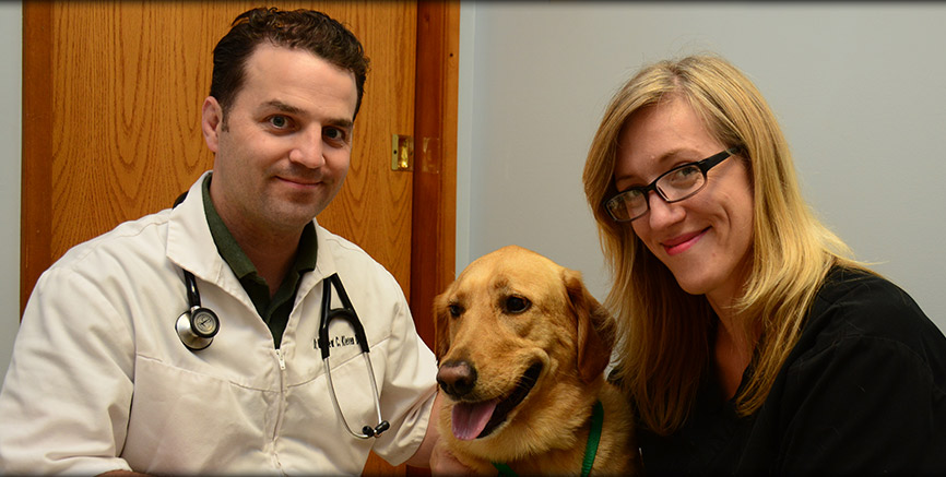 Canine care at Greentree Animal Hospital