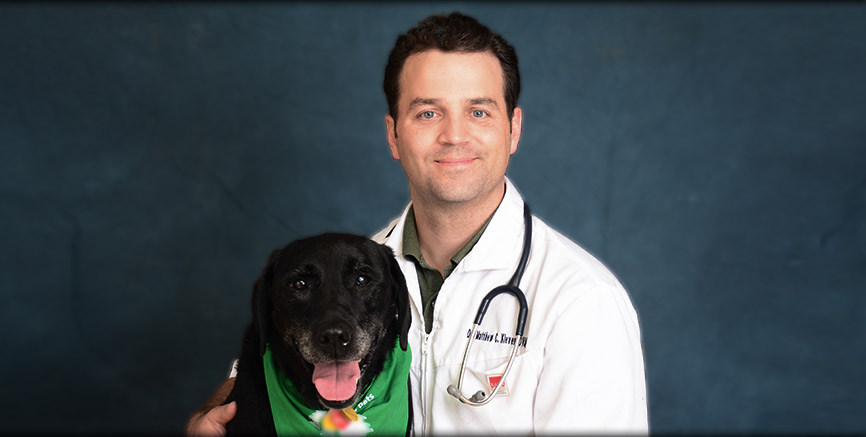 Matthew Kleven, DVM Greentree Animal Hospital Seattle, WA