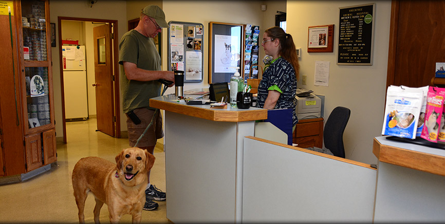 Drop off Appointments at Greentree Animal Hospital