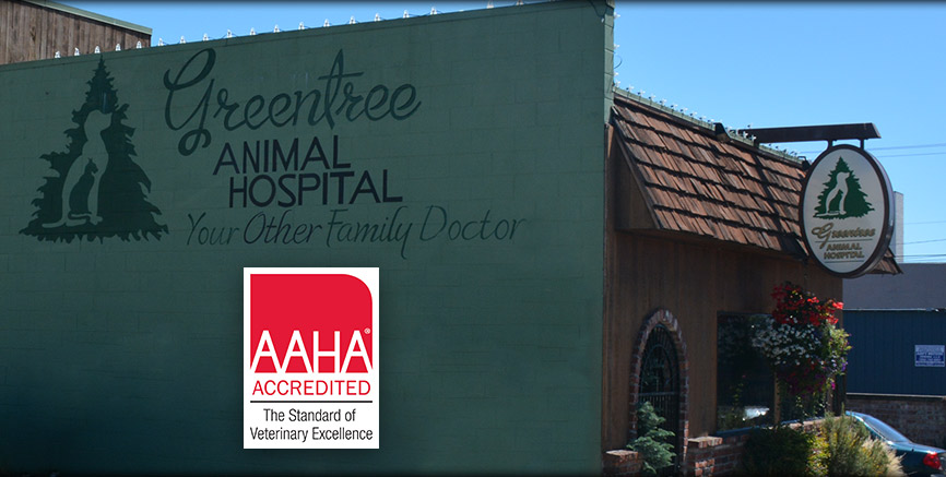 Why choose Greentree Animal Hospital